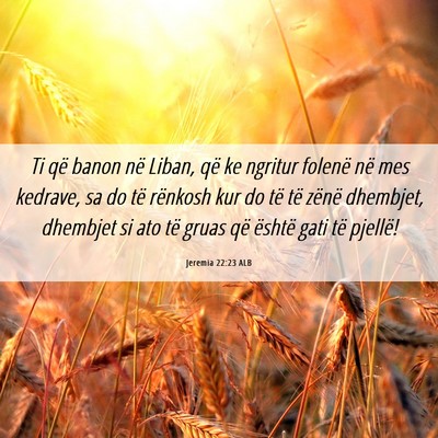 Picture 06 - Jeremia 22:23 ALB - Ti që banon në Liban, që ke ngritur folenë - Bible Verse Picture