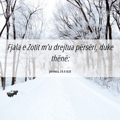 Picture 06 - Jeremia 24:4 ALB - Fjala e Zotit m’u drejtua përsëri, duke - Bible Verse Picture