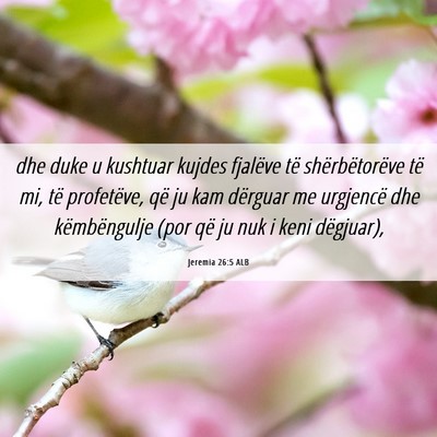 Picture 06 - Jeremia 26:5 ALB - dhe duke u kushtuar kujdes fjalëve të - Bible Verse Picture