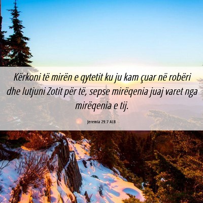 Picture 06 - Jeremia 29:7 ALB - Kërkoni të mirën e qytetit ku ju kam çuar në - Bible Verse Picture