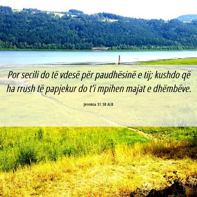 Picture 06 - Jeremia 31:30 ALB - Por secili do të vdesë për paudhësinë e tij; - Bible Verse Picture