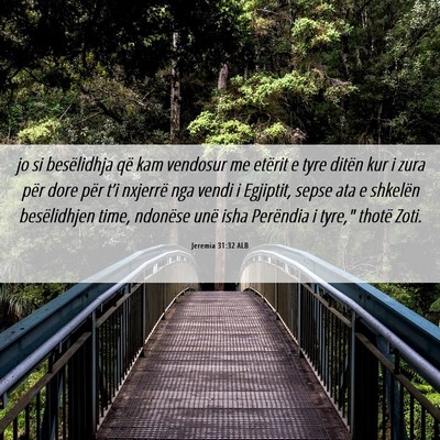 Picture 06 - Jeremia 31:32 ALB - jo si besëlidhja që kam vendosur me etërit e - Bible Verse Picture