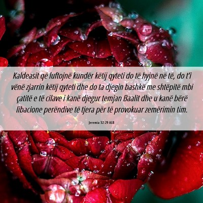 Picture 06 - Jeremia 32:29 ALB - Kaldeasit që luftojnë kundër këtij qyteti do - Bible Verse Picture