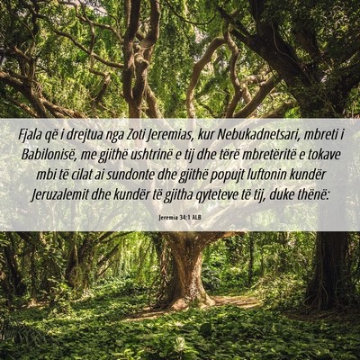 Picture 06 - Jeremia 34:1 ALB - Fjala që i drejtua nga Zoti Jeremias, kur - Bible Verse Picture