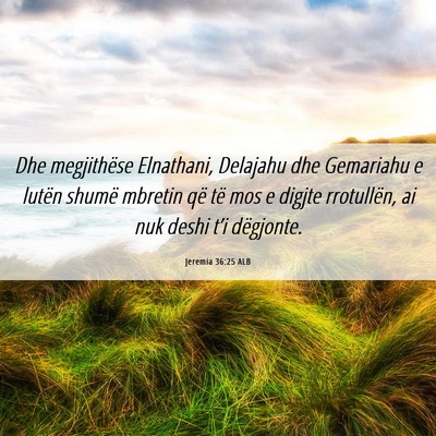 Picture 06 - Jeremia 36:25 ALB - Dhe megjithëse Elnathani, Delajahu dhe Gemariahu - Bible Verse Picture