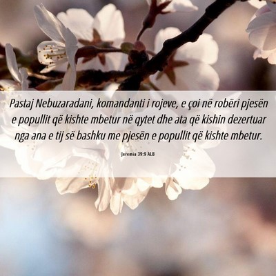 Picture 06 - Jeremia 39:9 ALB - Pastaj Nebuzaradani, komandanti i rojeve, e çoi - Bible Verse Picture