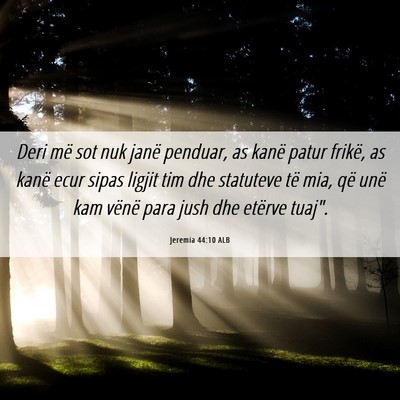 Picture 06 - Jeremia 44:10 ALB - Deri më sot nuk janë penduar, as kanë patur - Bible Verse Picture