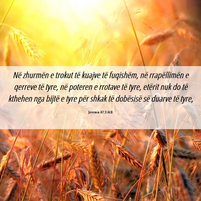 Picture 06 - Jeremia 47:3 ALB - Në zhurmën e trokut të kuajve të fuqishëm, - Bible Verse Picture
