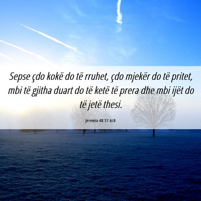 Picture 06 - Jeremia 48:37 ALB - Sepse çdo kokë do të rruhet, çdo mjekër do - Bible Verse Picture