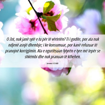 Picture 06 - Jeremia 5:3 ALB - O Zot, nuk janë sytë e tu për të vërtetën? - Bible Verse Picture