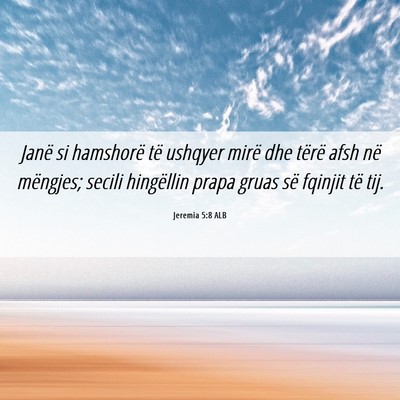 Picture 06 - Jeremia 5:8 ALB - Janë si hamshorë të ushqyer mirë dhe tërë - Bible Verse Picture