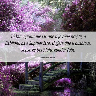 Picture 06 - Jeremia 50:24 ALB - Të kam ngritur një lak dhe ti je zënë prej - Bible Verse Picture