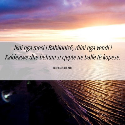 Picture 06 - Jeremia 50:8 ALB - Ikni nga mesi i Babilonisë, dilni nga vendi i - Bible Verse Picture