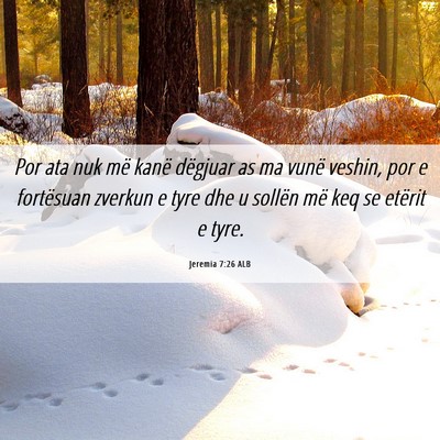 Picture 06 - Jeremia 7:26 ALB - Por ata nuk më kanë dëgjuar as ma vunë - Bible Verse Picture