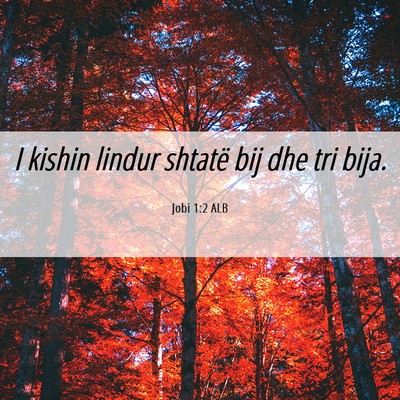 Picture 06 - Jobi 1:2 ALB - I kishin lindur shtatë bij dhe tri - Bible Verse Picture