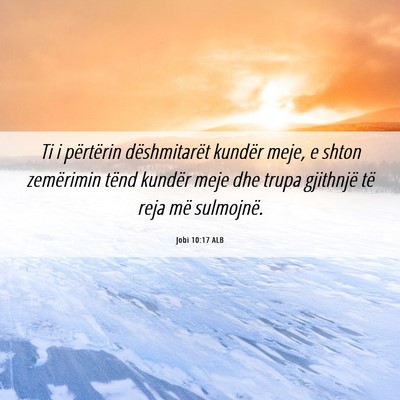 Picture 06 - Jobi 10:17 ALB - Ti i përtërin dëshmitarët kundër meje, e - Bible Verse Picture
