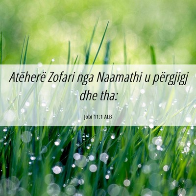 Picture 06 - Jobi 11:1 ALB - Atëherë Zofari nga Naamathi u përgjigj dhe - Bible Verse Picture