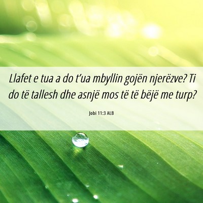 Picture 06 - Jobi 11:3 ALB - Llafet e tua a do t’ua mbyllin gojën - Bible Verse Picture