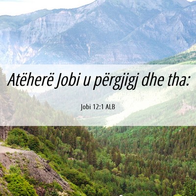 Picture 06 - Jobi 12:1 ALB - Atëherë Jobi u përgjigj dhe - Bible Verse Picture