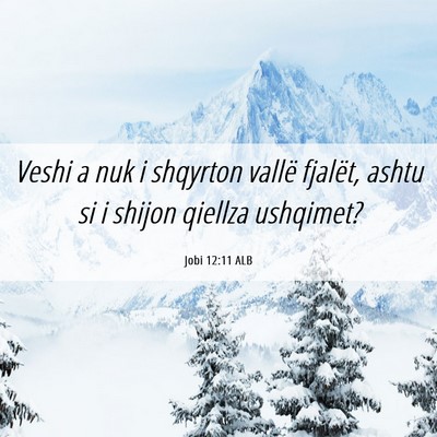 Picture 06 - Jobi 12:11 ALB - Veshi a nuk i shqyrton vallë fjalët, ashtu si i - Bible Verse Picture