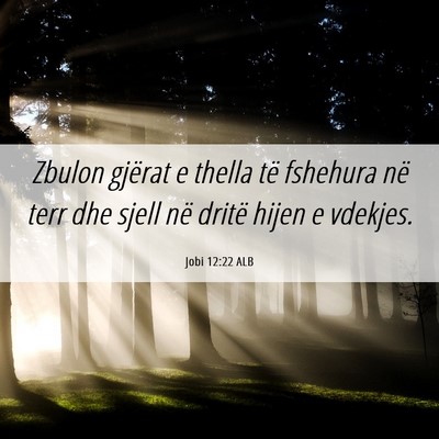 Picture 06 - Jobi 12:22 ALB - Zbulon gjërat e thella të fshehura në terr dhe - Bible Verse Picture