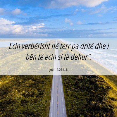 Picture 06 - Jobi 12:25 ALB - Ecin verbërisht në terr pa dritë dhe i bën - Bible Verse Picture