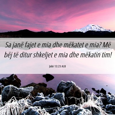 Picture 06 - Jobi 13:23 ALB - Sa janë fajet e mia dhe mëkatet e mia? Më bëj - Bible Verse Picture