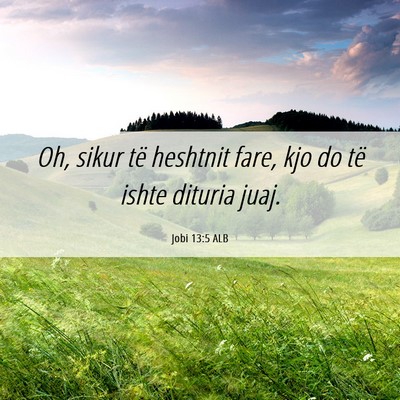Picture 06 - Jobi 13:5 ALB - Oh, sikur të heshtnit fare, kjo do të ishte - Bible Verse Picture