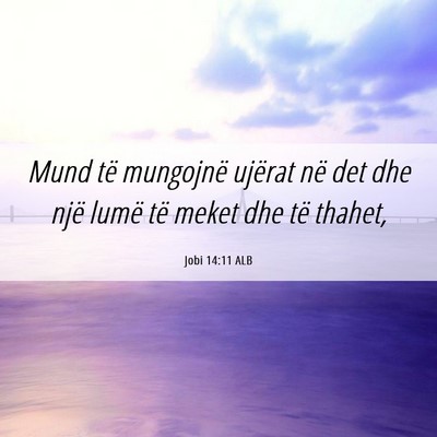 Picture 06 - Jobi 14:11 ALB - Mund të mungojnë ujërat në det dhe një lumë - Bible Verse Picture
