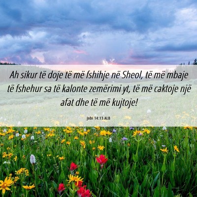 Picture 06 - Jobi 14:13 ALB - Ah sikur të doje të më fshihje në Sheol, të - Bible Verse Picture