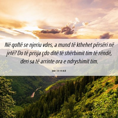 Picture 06 - Jobi 14:14 ALB - Në qoftë se njeriu vdes, a mund të kthehet - Bible Verse Picture