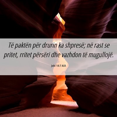 Picture 06 - Jobi 14:7 ALB - Të paktën për drurin ka shpresë; në rast se - Bible Verse Picture