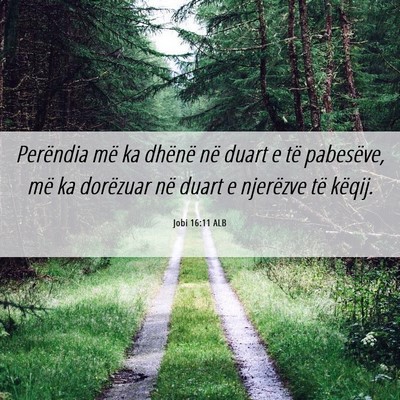 Picture 06 - Jobi 16:11 ALB - Perëndia më ka dhënë në duart e të - Bible Verse Picture