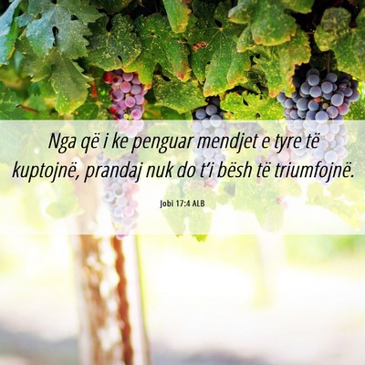 Picture 06 - Jobi 17:4 ALB - Nga që i ke penguar mendjet e tyre të - Bible Verse Picture