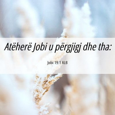 Picture 06 - Jobi 19:1 ALB - Atëherë Jobi u përgjigj dhe - Bible Verse Picture