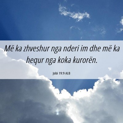 Picture 06 - Jobi 19:9 ALB - Më ka zhveshur nga nderi im dhe më ka hequr nga - Bible Verse Picture