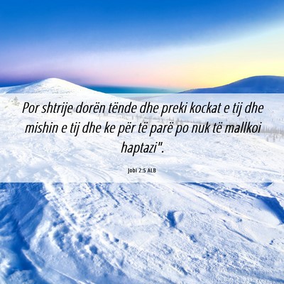 Picture 06 - Jobi 2:5 ALB - Por shtrije dorën tënde dhe preki kockat e tij - Bible Verse Picture