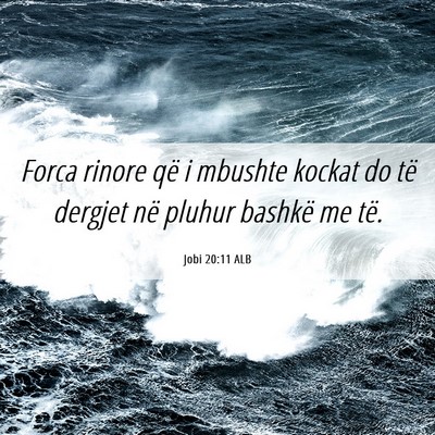 Picture 06 - Jobi 20:11 ALB - Forca rinore që i mbushte kockat do të dergjet - Bible Verse Picture