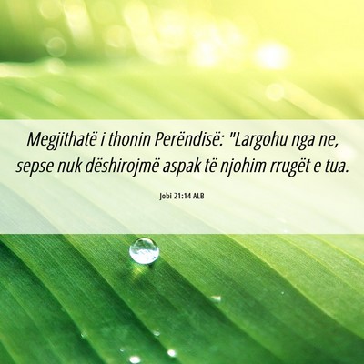 Picture 06 - Jobi 21:14 ALB - Megjithatë i thonin Perëndisë: 