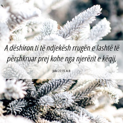 Picture 06 - Jobi 22:15 ALB - A dëshiron ti të ndjekësh rrugën e lashtë - Bible Verse Picture