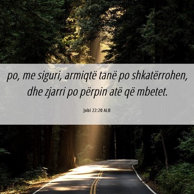 Picture 06 - Jobi 22:20 ALB - po, me siguri, armiqtë tanë po shkatërrohen, - Bible Verse Picture