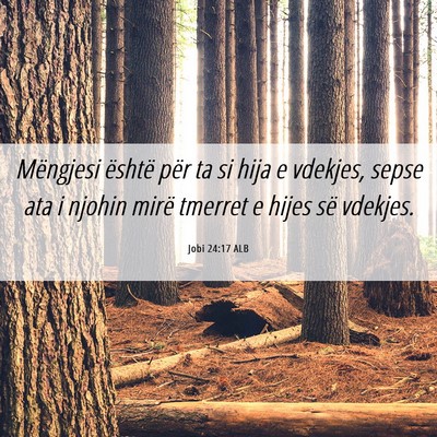 Picture 06 - Jobi 24:17 ALB - Mëngjesi është për ta si hija e vdekjes, - Bible Verse Picture