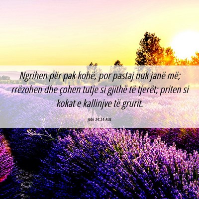 Picture 06 - Jobi 24:24 ALB - Ngrihen për pak kohë, por pastaj nuk janë më; - Bible Verse Picture
