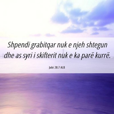 Picture 06 - Jobi 28:7 ALB - Shpendi grabitqar nuk e njeh shtegun dhe as syri - Bible Verse Picture