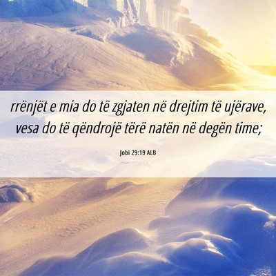 Picture 06 - Jobi 29:19 ALB - rrënjët e mia do të zgjaten në drejtim të - Bible Verse Picture