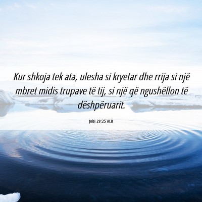 Picture 06 - Jobi 29:25 ALB - Kur shkoja tek ata, ulesha si kryetar dhe rrija - Bible Verse Picture
