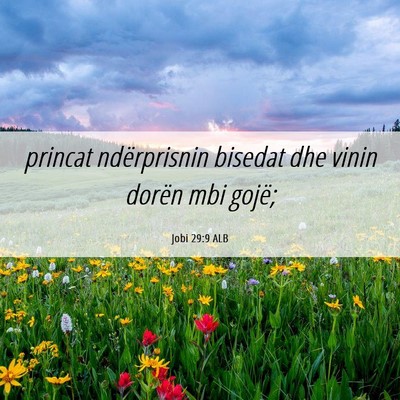 Picture 06 - Jobi 29:9 ALB - princat ndërprisnin bisedat dhe vinin dorën mbi - Bible Verse Picture