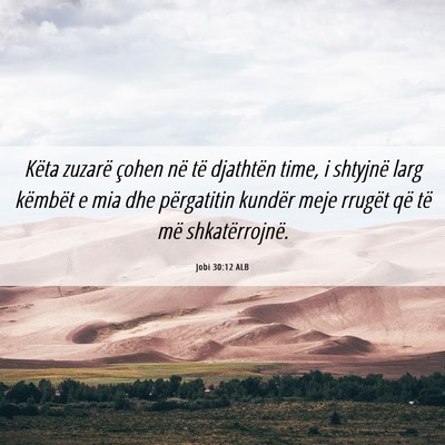 Picture 06 - Jobi 30:12 ALB - Këta zuzarë çohen në të djathtën time, i - Bible Verse Picture