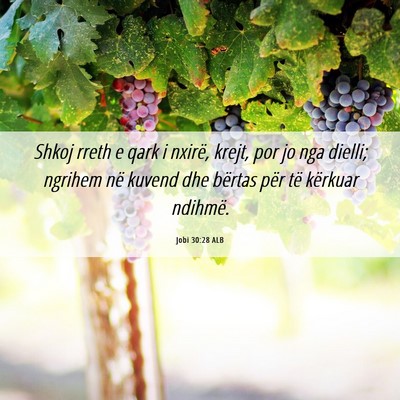 Picture 06 - Jobi 30:28 ALB - Shkoj rreth e qark i nxirë, krejt, por jo nga - Bible Verse Picture