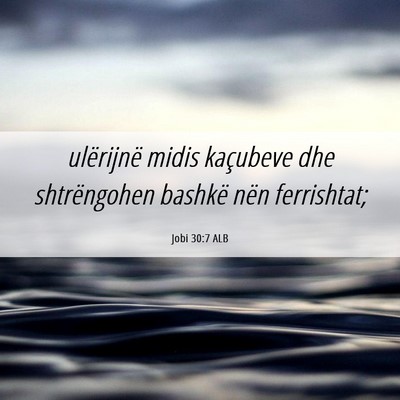 Picture 06 - Jobi 30:7 ALB - ulërijnë midis kaçubeve dhe shtrëngohen - Bible Verse Picture